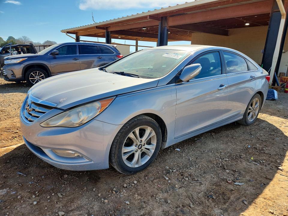 HYUNDAI SONATA 2011 with VIN 5NPEC4AC1BH251659 - Photo from auction