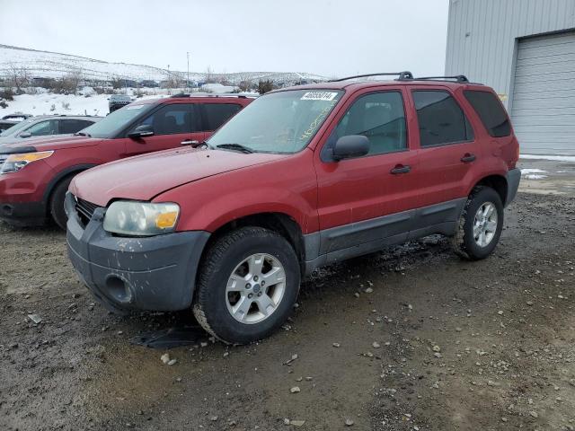FORD ESCAPE XLT 2005 with VIN 1FMYU93175KD11769 - Photo from auction