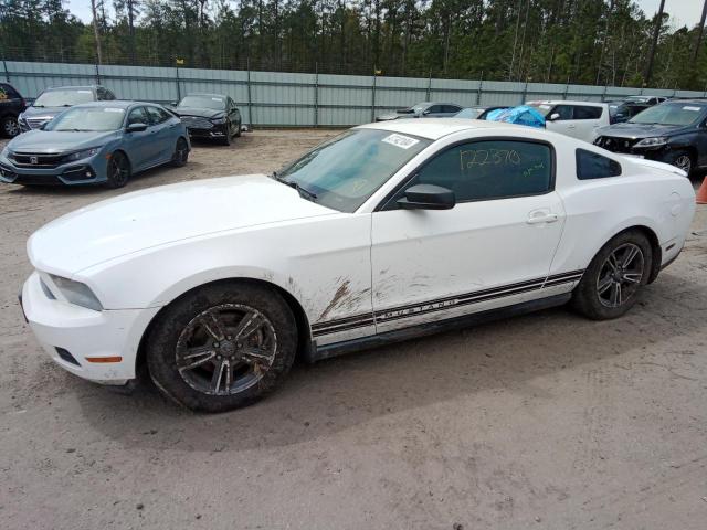 FORD MUSTANG 2012 with VIN 1ZVBP8AM2C5282747 - Photo from auction
