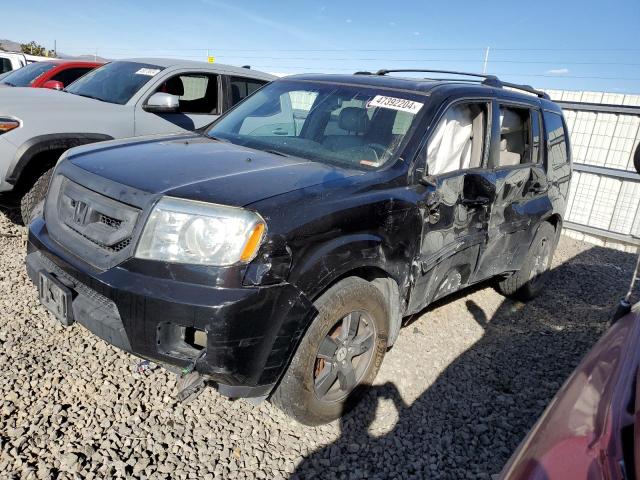 HONDA PILOT EXL 2009 with VIN 5FNYF48639B017004 - Photo from auction