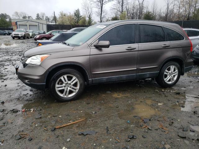 HONDA CR-V EXL 2011 with VIN 5J6RE4H7XBL059795 - Photo from auction
