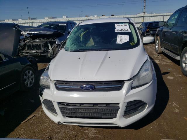 Photo 5 from auction – 2014 FORD ESCAPE SE with VIN 1FMCU0GX5EUB94301