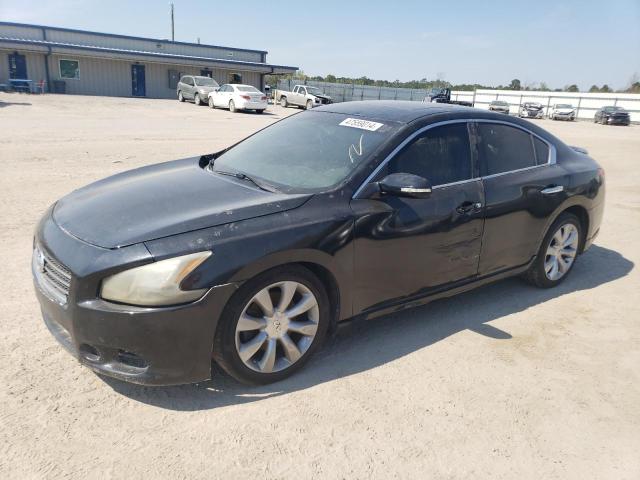 NISSAN MAXIMA S 2009 مع رقم تعريف المركبة 1N4AA51E79C829660 - صورة من المزاد