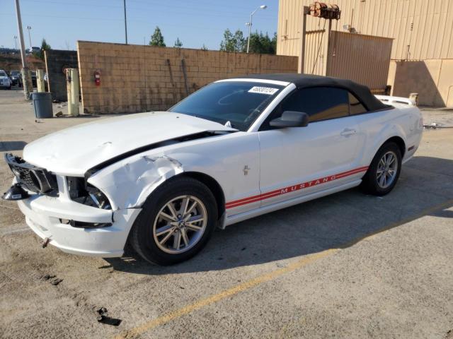 Photo 1 from auction – 2005 FORD MUSTANG with VIN 1ZVFT84N855253936
