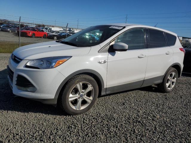 FORD ESCAPE SE 2014 with VIN 1FMCU0GX4EUE28220 - Photo from auction