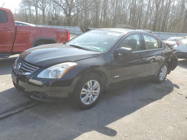 NISSAN ALTIMA HYB 2010 with VIN 1N4CL2AP6AC175807 - Photo from auction