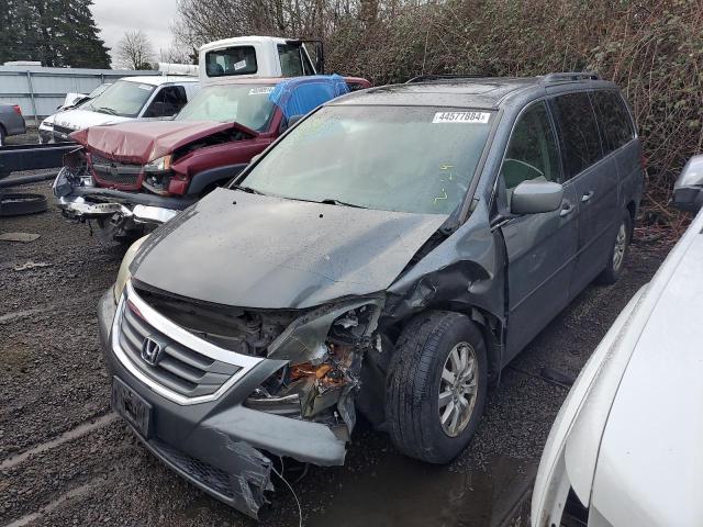 HONDA ODYSSEY EX 2008 with VIN 5FNRL38618B416418 - Photo from auction