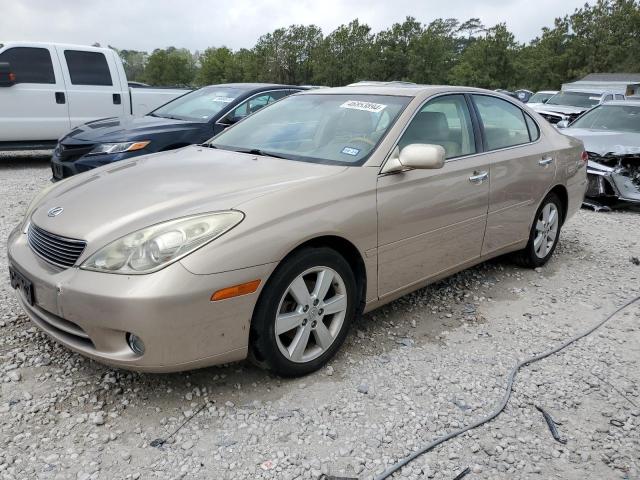 LEXUS ES 330 2006 with VIN JTHBA30G865157094 - Photo from auction