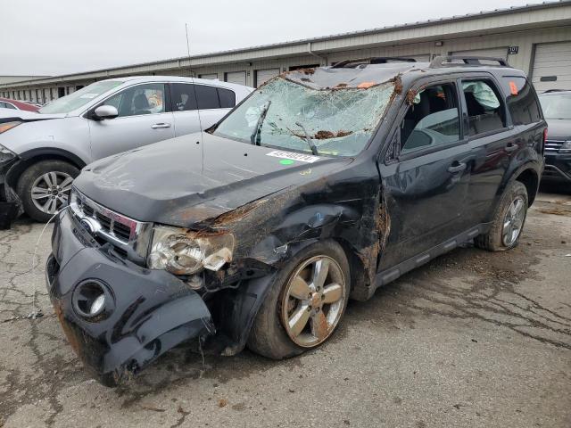FORD ESCAPE XLT 2012 with VIN 1FMCU0DG0CKA28121 - Photo from auction