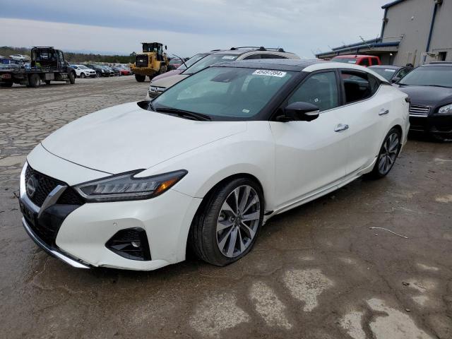 NISSAN MAXIMA PLA 2023 with VIN 1N4AA6FV1PC504790 - Photo from auction