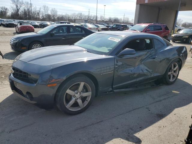 CHEVROLET CAMARO LT 2010 with VIN 2G1FC1EV8A9170537 - Photo from auction