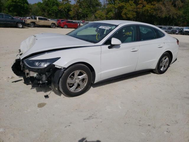 HYUNDAI SONATA SE 2020 with VIN 5NPEG4JA2LH043570 - Photo from auction