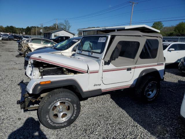 JEEP WRANGLER / 1990 with VIN 2J4FY19E5LJ507759 - Photo from auction