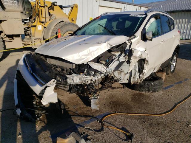 FORD ESCAPE TIT 2014 with VIN 1FMCU0JX9EUD24556 - Photo from auction