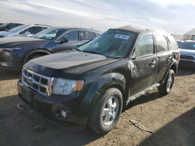 FORD ESCAPE XLT 2010 with VIN 1FMCU9D76AKC90923 - Photo from auction