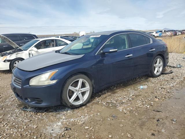 NISSAN MAXIMA S 2009 with VIN 1N4AA51E39C844348 - Photo from auction