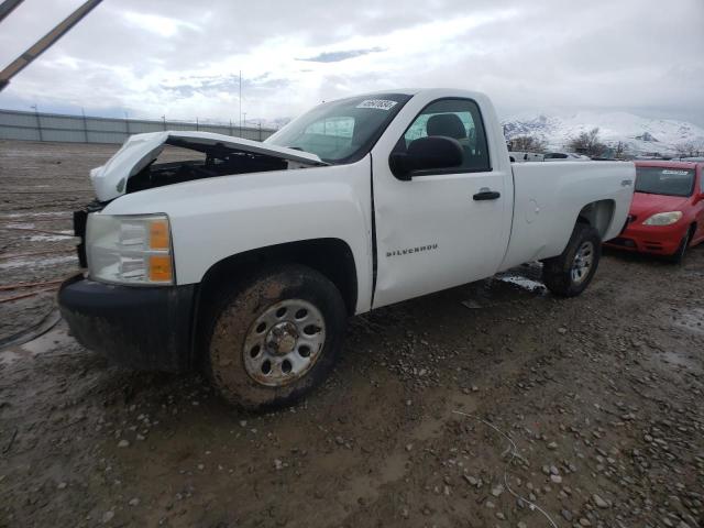 CHEVROLET SILVERADO 2011 with VIN 1GCNKPE05BF194896 - Photo from auction
