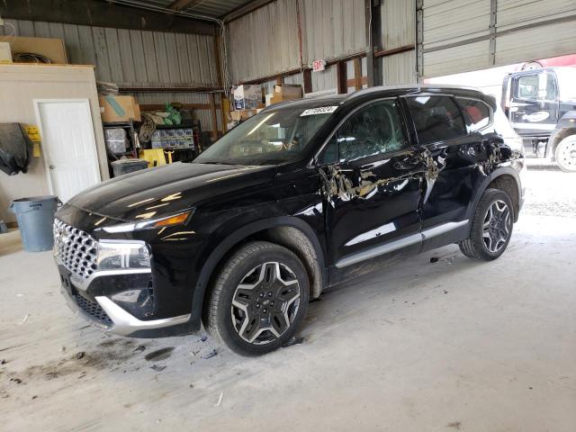 HYUNDAI SANTA FE L 2023 with VIN 5NMS4DAL7PH539190 - Photo from auction