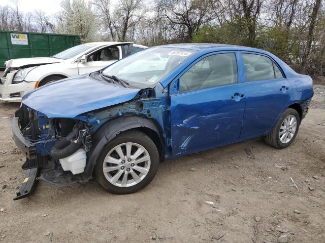 TOYOTA COROLLA BA 2009 with VIN JTDBL40E199021869 - Photo from auction