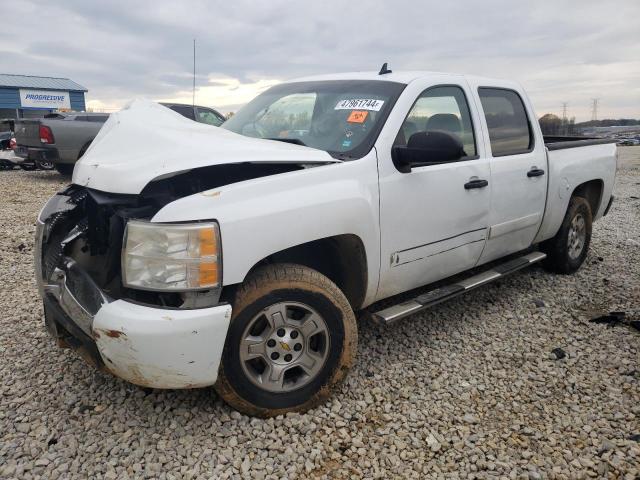 CHEVROLET SILVERADO 2008 con VIN 2GCEC13J981191487 - Foto de la subasta