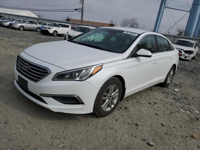 HYUNDAI SONATA ECO 2017 with VIN 5NPE24AA6HH495429 - Photo from auction