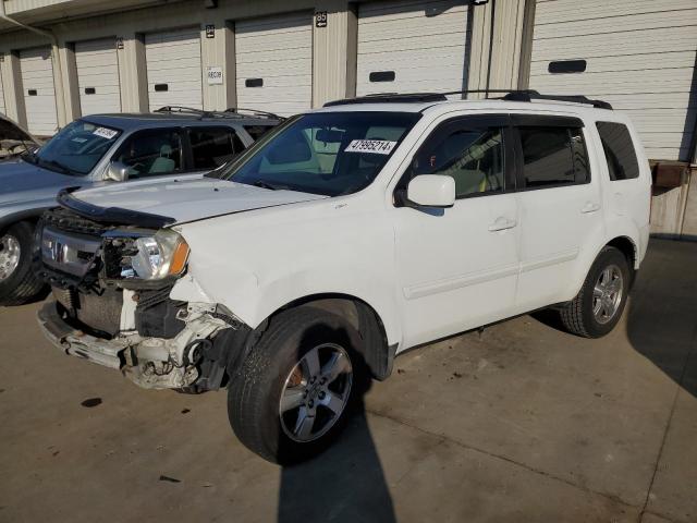 HONDA PILOT EXL 2010 with VIN 5FNYF4H56AB023570 - Photo from auction