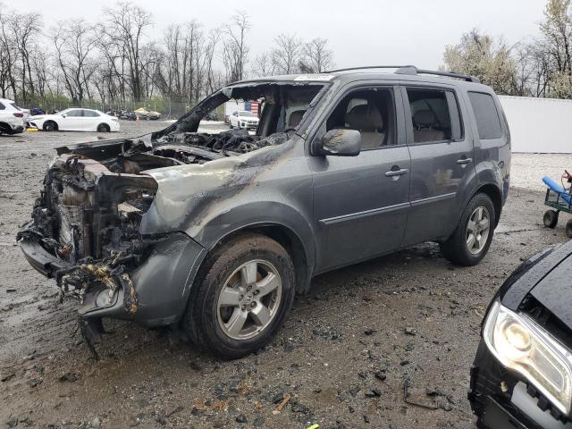 HONDA PILOT EXLN 2011 with VIN 5FNYF4H74BB044310 - Photo from auction