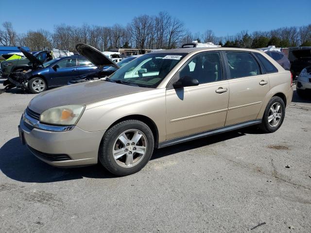 CHEVROLET MALIBU MAX 2005 with VIN 1G1ZT62875F295986 - Photo from auction