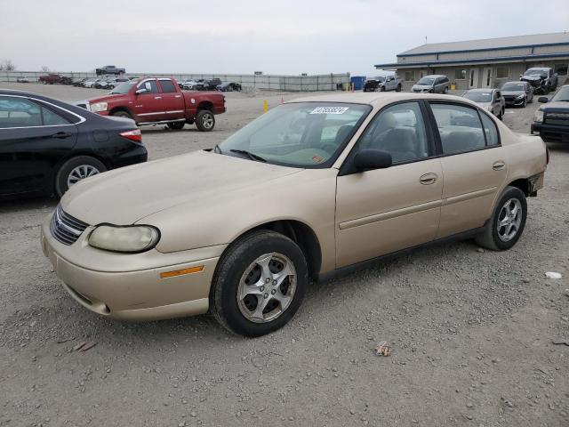 CHEVROLET MALIBU 2003 with VIN 1G1ND52J43M556542 - Photo from auction