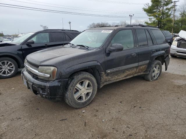 CHEVROLET TRAILBLAZE 2004 with VIN 1GNDT13S342143974 - Photo from auction