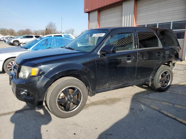 FORD ESCAPE XLT 2010 with VIN 1FMCU0D70AKA53193 - Photo from auction