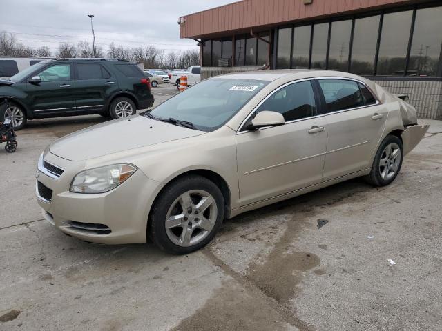 CHEVROLET MALIBU 1LT 2010 with VIN 1G1ZC5EB4AF156829 - Photo from auction