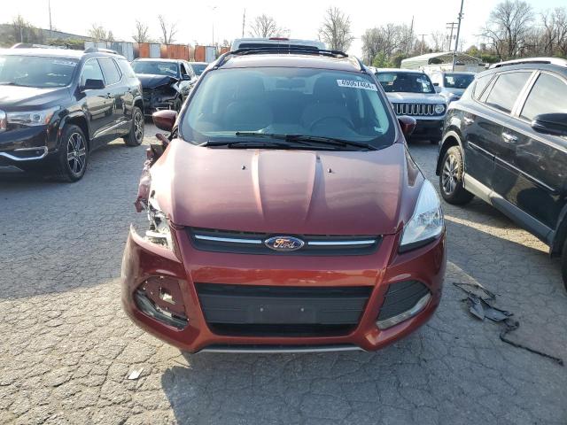 Photo 5 from auction – 2014 FORD ESCAPE SE with VIN 1FMCU0GX4EUE28072