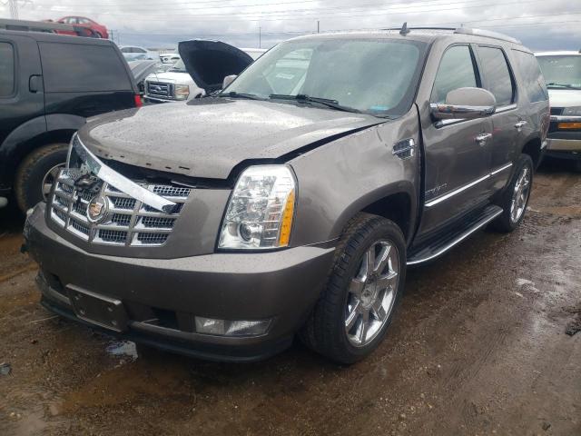 CADILLAC ESCALADE L 2013 with VIN 1GYS4BEF8DR126270 - Photo from auction