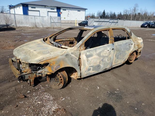TOYOTA COROLLA 2011 with VIN 2T1BU4EE4BC563585 - Photo from auction