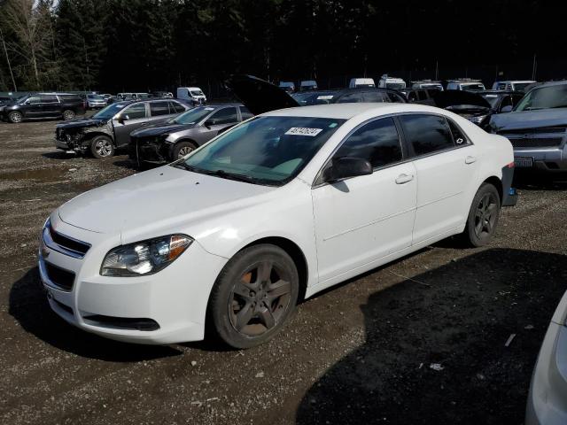 CHEVROLET MALIBU LS 2012 with VIN 1G1ZB5E08CF121327 - Photo from auction