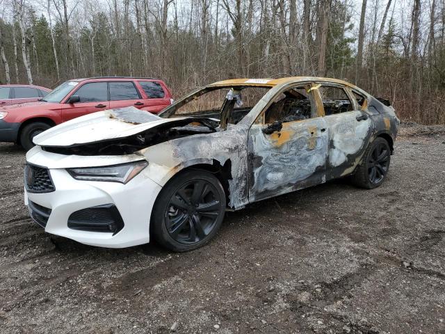 ACURA TLX TECH A 2022 with VIN 19UUB6F50NA800429 - Photo from auction