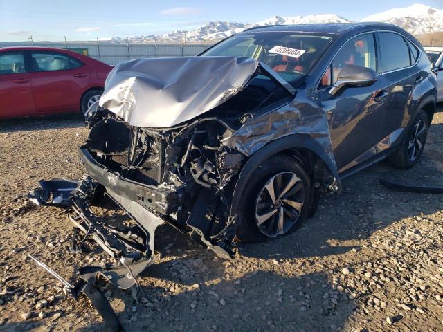LEXUS NX 300 BAS 2021 with VIN JTJGARDZ7M2244583 - Photo from auction