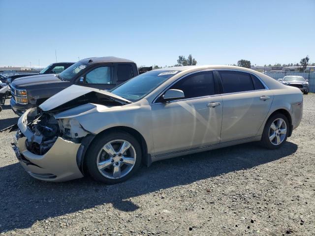 CHEVROLET MALIBU 1LT 2011 with VIN 1G1ZC5E13BF266411 - Photo from auction