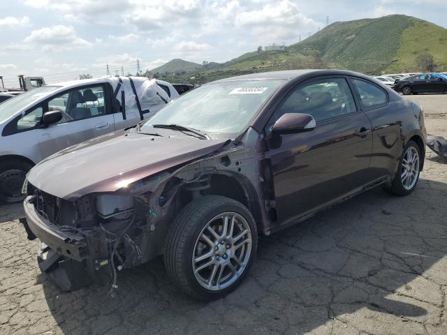 TOYOTA SCION TC 2008 with VIN JTKDE167680244141 - Photo from auction