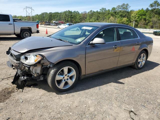 CHEVROLET MALIBU 2LT 2010 with VIN 1G1ZD5EB6AF312611 - Photo from auction