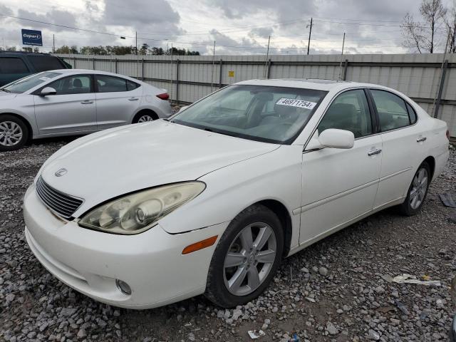 LEXUS ES 330 2005 with VIN JTHBA30G955138228 - Photo from auction