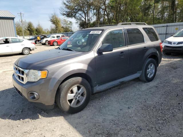 Photo 1 from auction – 2010 FORD ESCAPE XLT with VIN 1FMCU0DG4AKA03865
