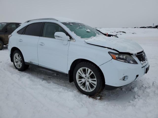Photo 4 from auction – 2010 LEXUS RX 450 with VIN JTJBC1BA0A2006282