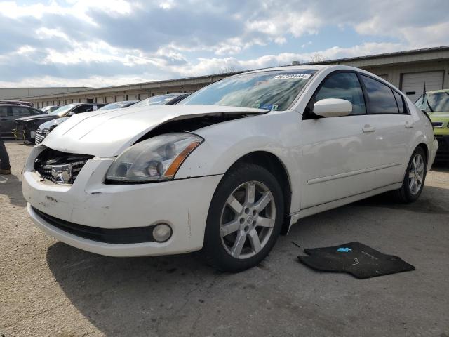 NISSAN MAXIMA 2006 with VIN 1N4BA41E46C812566 - Photo from auction
