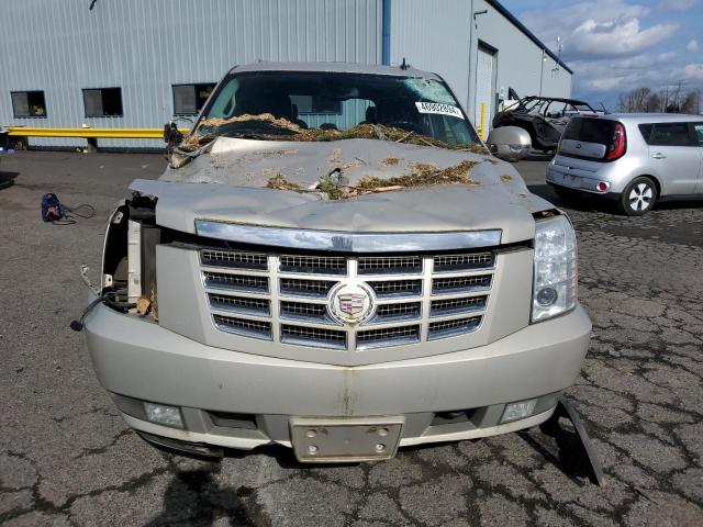 Photo 5 from auction – 2009 CADILLAC ESCALADE with VIN 1GYFK13229R250673