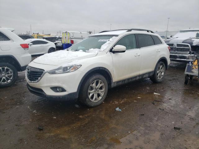 MAZDA CX-9 TOURI 2014 with VIN JM3TB2CAXE0426624 - Photo from auction