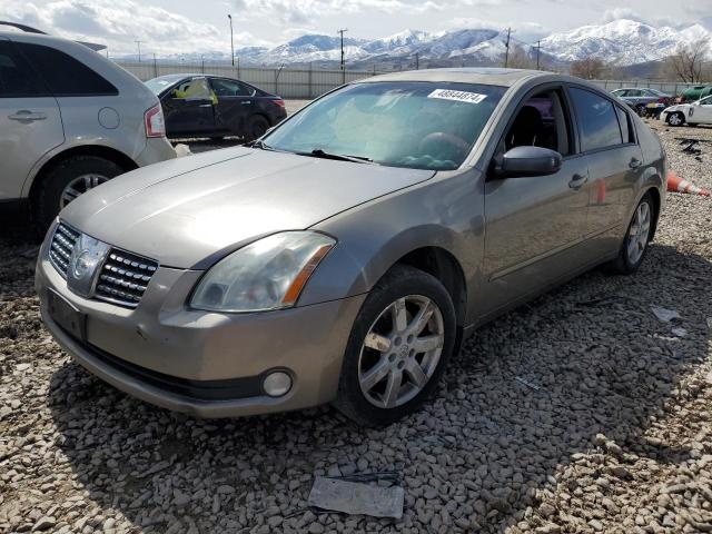 NISSAN MAXIMA SE 2006 with VIN 1N4BA41E66C859274 - Photo from auction