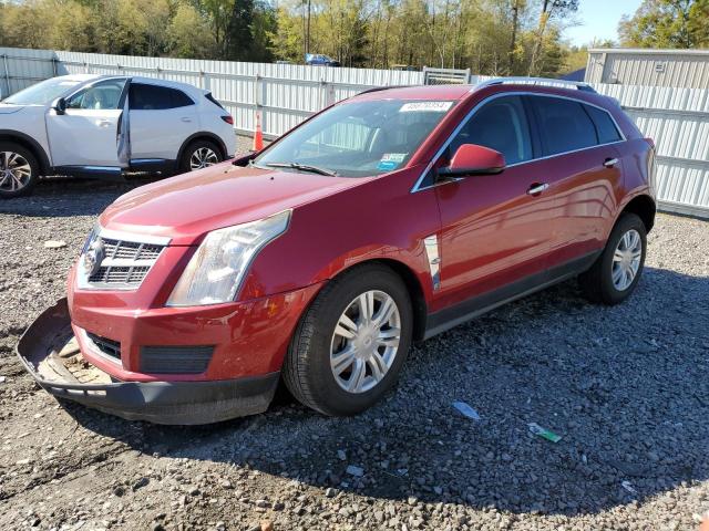CADILLAC SRX LUXURY 2011 with VIN 3GYFNDEY3BS509281 - Photo from auction