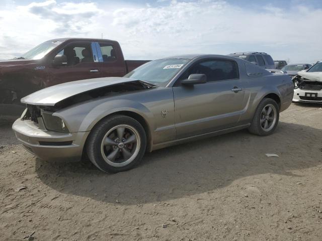 Photo 1 from auction – 2009 FORD MUSTANG with VIN 1ZVHT80N595128588